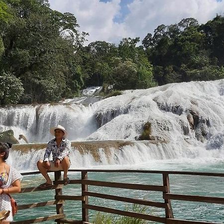 Posada Tzeltal Arroyo Agua Azul 외부 사진