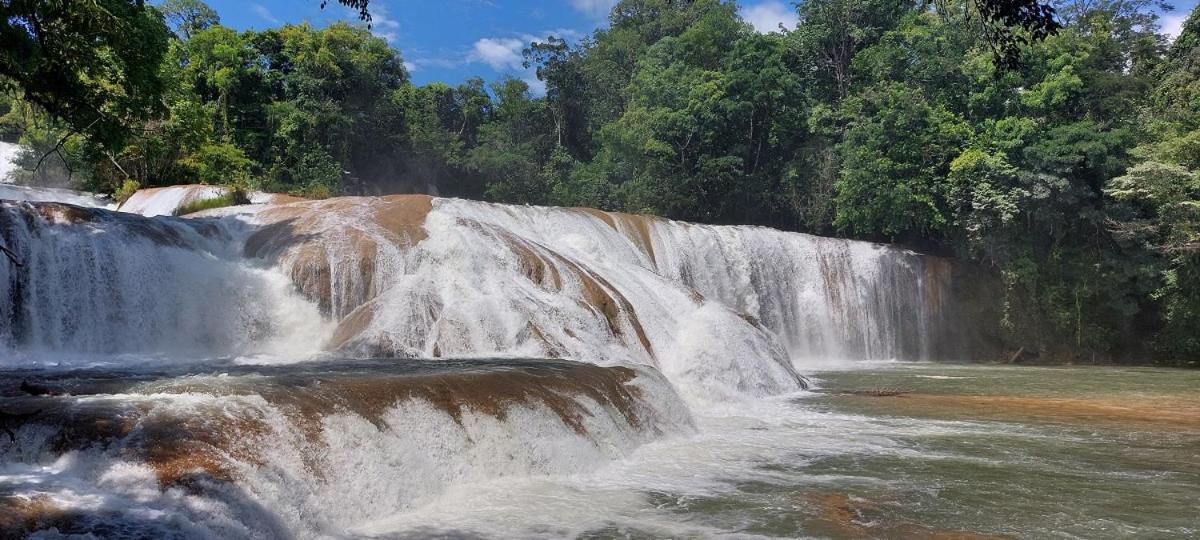 Posada Tzeltal Arroyo Agua Azul 외부 사진